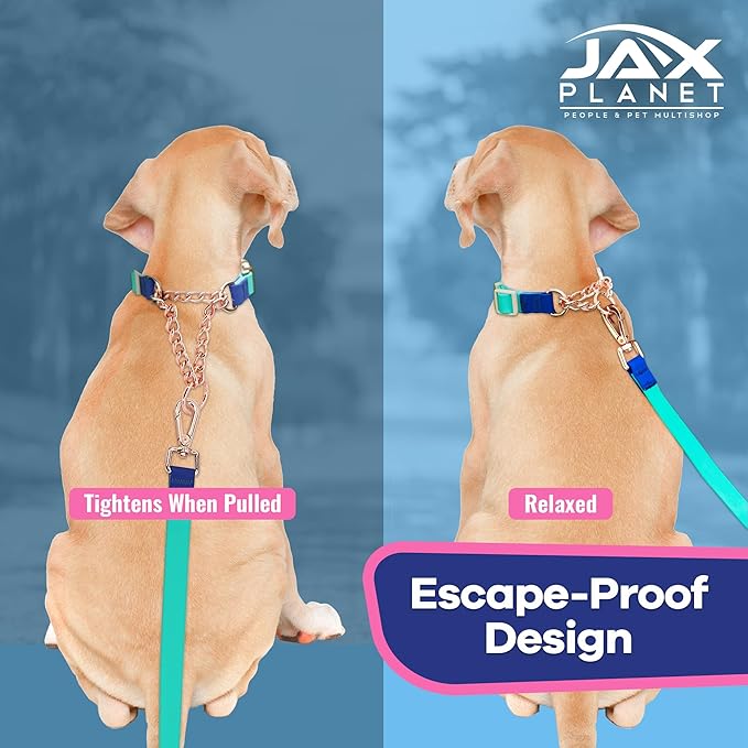 Jelly Waterproof Martingale Dog Collar, No Pull Nylon Collar with Alloy Metal Buckle & D-Ring for Outdoor Training and Walking, Anti Pull, Escape Free, One Time Adjustment - Blue & Rose, XL