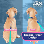 Jelly Waterproof Martingale Dog Collar, No Pull Nylon Collar with Alloy Metal Buckle & D-Ring for Outdoor Training and Walking, Anti Pull, Escape Free, One Time Adjustment - Blue & Rose, XL