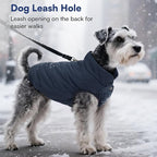 ASENKU Dog Winter Coat - Waterproof Windproof Dog Jacket, Warm Snowproof Doggie Puffer Vest for Cold Weather, Lightweight Snow Coats for Small Medium Large Dogs(L, Blue)