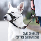 GoodBoy Dog Head Halter with Safety Strap - Stops Heavy Pulling On The Leash - Padded Headcollar for Small Medium and Large Dog Sizes - Head Collar Training Guide Included (Size 4, Black)