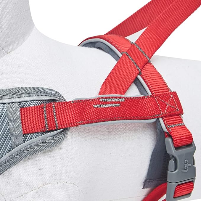 Blueberry Pet 8 Colors Soft & Comfy 3M Reflective Strips Padded Dog Harness Vest, Chest Girth 30" - 38.5", Red, Large, Nylon Adjustable Training Harnesses for Dogs
