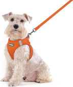 rabbitgoo Dog Harness Medium Sized and Leash Set, Step in Soft Light Puppy Vest, Breathable Mesh Pet Harness, Reflective for Safe Easy Walking, Orange XXL