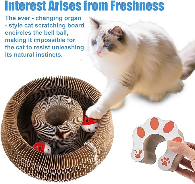 2 Pack Kitty Kurls Cat Scratcher, Magic Organ Cat Toy Scratching Board with Bell Balls, Reversible Corrugated Cardboard for Pet Claw Care