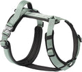 PawsPassion Dog Harness for Medium Dogs, No Pull Dog Harness Easy Walk with Metal Hardware, Ergonomic Y-Shaped Design, Soft Padding, Padded Handle, Durable High-Tensile Nylon (Seabreeze, M)