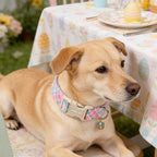 ARING PET Easter Dog Collar, Cute Colorful Plaid Stripe Girl Doggy Collars with Quick Release Buckle for Puppy Small Medium Large Dogs-L