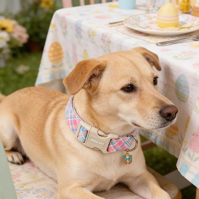 ARING PET Easter Dog Collar, Cute Colorful Plaid Stripe Girl Doggy Collars with Quick Release Buckle for Puppy Small Medium Large Dogs-S