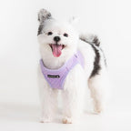 Puppia Dotty Dog Vest Harness B (Step-in) Fashionable Polka Dot Pattern Spring Summer Harness for Small Dogs, Violet, Small