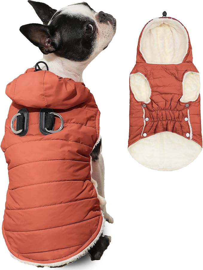 Fleece Lining Dog Hoodie with Harness Built in,Extra Warm Small Dog Jacket in Winter Puppy Coats with Drawstring Hooded,Orange M