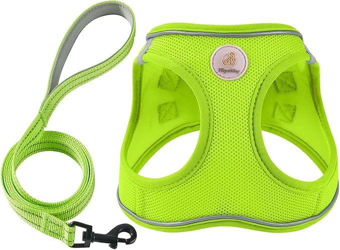 Hipubby Dog Harness and Leash Set, No Pull Soft Mesh Puppy Harness for Small Medium Dogs, Cats - Step in Reflective Breathable Lightweight Vest Harness for Walking, Training - Bright Green, XS