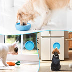 Dog Lick Bowl, Bestalk Anxiety Relief Lick Mat for Dogs, Non-Slip Freeze Licking Bowl Enrichment Puzzle Feeder for Distraction, BPA Free Silicone, Dishwasher Safe (Light Blue,S)