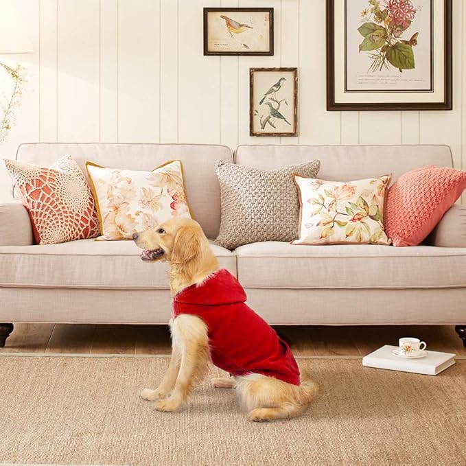 EXPAWLORER Dog Hoodie Fleece Sweater Vest, Hooded Dog Sweatshirt Fall Winter Pet Clothes with Leash Ring, Sleeveless Warm Cozy Puppy Clothing for Cat Small Medium Large Dogs Girl Boy, Red XS