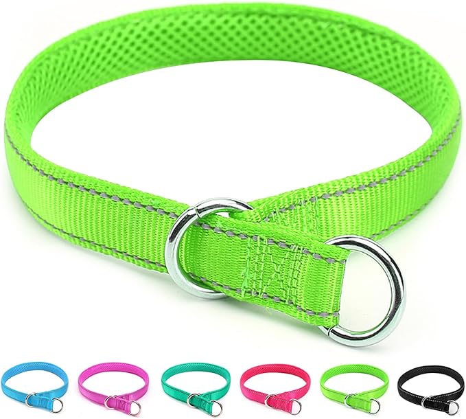 Reflective Slip Dog Collar, Loop Dog Collar for 20-38 lbs Dogs, Nylon Collars with Soft Padded for Dogs Training (Green 5/8" W x 15.5" L)