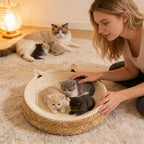 Cat Scratcher Bowl – Woven Kitten Bed | Breathable Hand-Woven Cotton Rope Cat Bed with Kitten Ear Design, Doubles As Scratcher for Play Exercise Enrichment Nail Trimming Paw Care and Safe Furniture