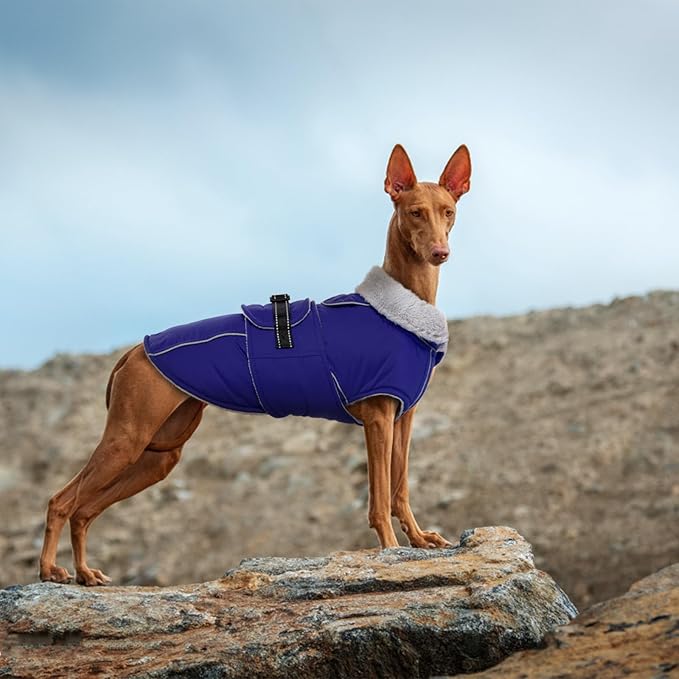 Lelepet Warm Dog Coat Reflective Fleece Vest Waterproof Dog Jacket with Adjustable Buckle Hook & Loop Windproof Cold Weather Coats for Small Medium Large Dogs, Blue, L