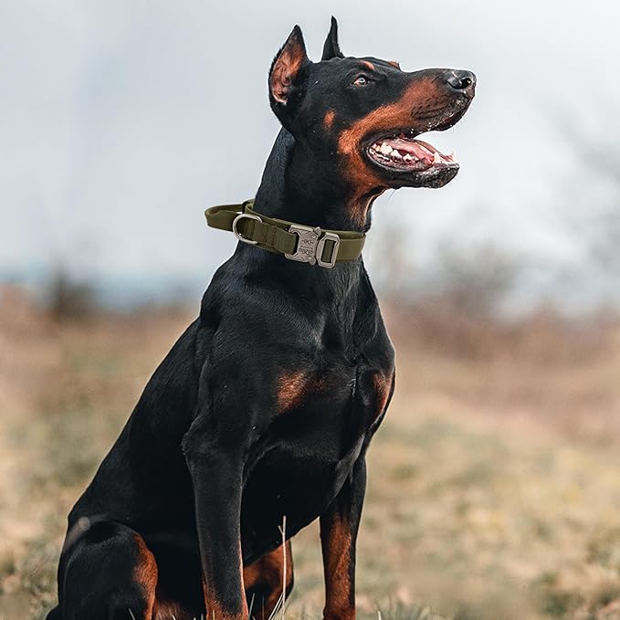 Tactical Dog Collar with Handle - Military Adjustable Dog Training Collar Soft Nylon and Heavy Duty Metal Buckle for Medium Large Dogs - with Patch (Green, Medium)