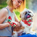 E-Clover Dog Bandanas Summer & Matching Scrunchie Set Dog Bandana Bibs Washable Kerchief Scarf for Medium Large Dogs & Owner Watermelon