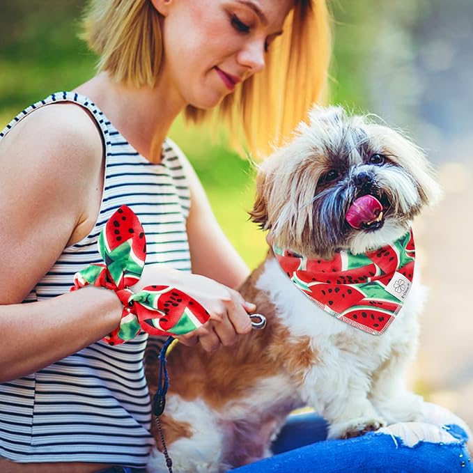 E-Clover Dog Bandanas Summer & Matching Scrunchie Set Dog Bandana Bibs Washable Kerchief Scarf for Medium Large Dogs & Owner Watermelon