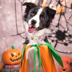 ARING PET Halloween Dog Collars, Cute Pink Pumpkin Ghost Flower Bowtie Pet Collar with Quick Release Buckle for Small Medium Large Girl Boy Dogs-XS