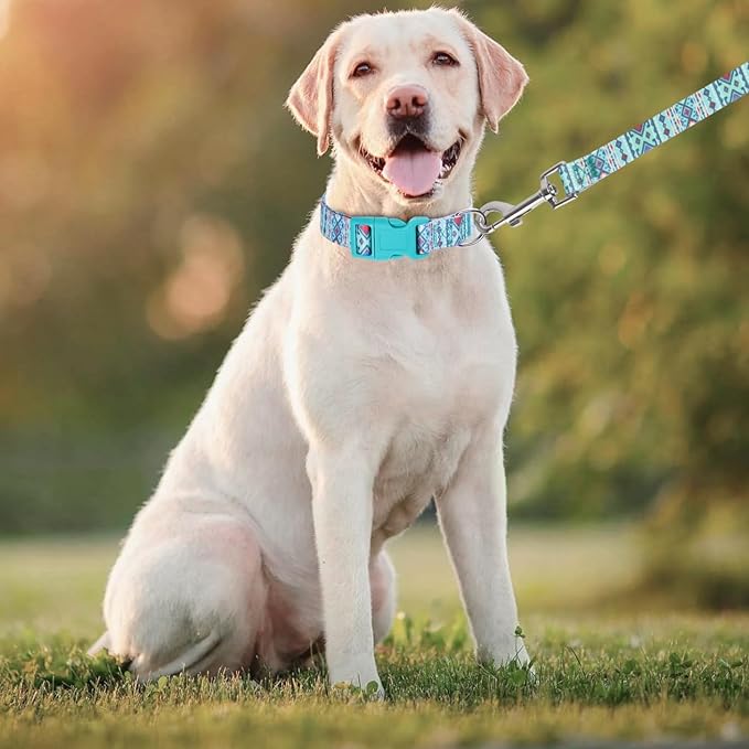 Dog Collar with Leash Airtag Holder Case Set - Dog Collars for Male Female Boy Girl Puppy X-Small Small Medium Large Dogs Walking Running Training - Maya/XS