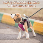 Dog Harness Step in Dog Vest Harness, Reflective Adjustable Puppy No Pull Harness Breathable Soft for Small and Medium Dogs Cats, Pink/Black, XXS