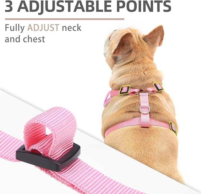 PUPTECK Small Dog Harness and Leash Set, No Pull Adjustable Puppy Cat Harness, Reflective Soft Mesh Pet Vest Small Sized, Pink, S