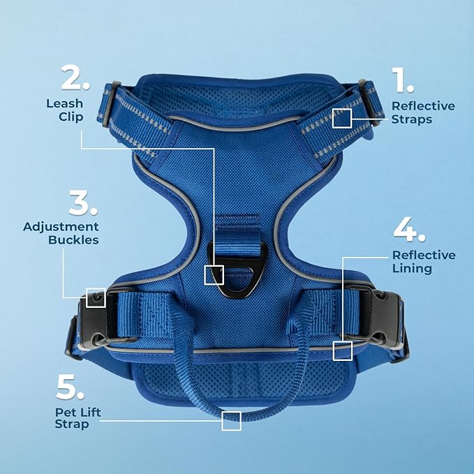 Voyager Dog Harness Dual Leash Attachment No-Pull Control Adjustable Soft but Strong Pet Harness for Medium and Large Dogs with 3M Reflective Technology, Royal Blue Lattice Nylon, S (Chest: 16-20")