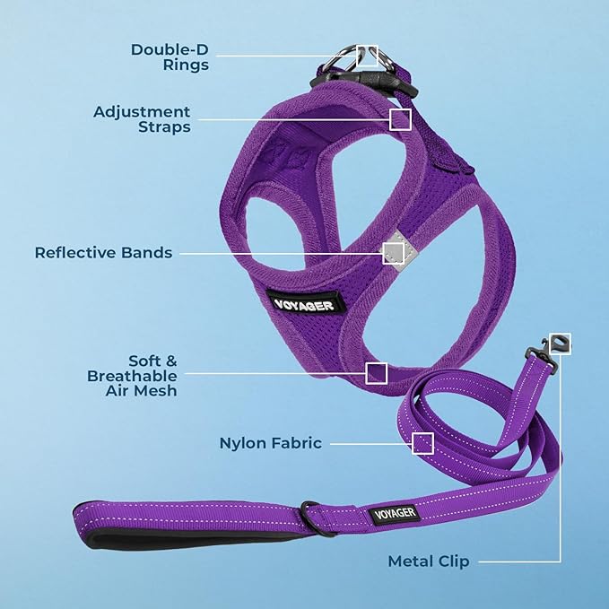 Best Pet Supplies Voyager Step-in Air All Weather Mesh Harness and Reflective Dog 5 ft Leash Combo with Neoprene Handle, for Small, Medium and Large Breed Puppies - Set (Purple), M