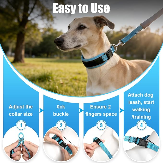 Lightweight Prong Collar for Dogs, Reflective No Pull Dog Collar | Adjustable Size Dog Pinch, Breathable Woven Fabric Air Grid Technology, Martingale Collar for Dogs Training(Blue-M)