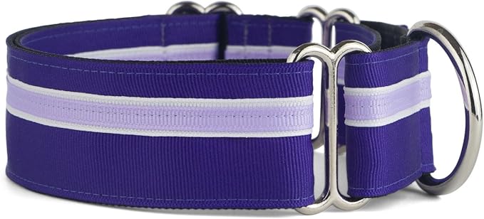 If It Barks - 1.5" Martingale Collar for Dogs - Adjustable - Nylon - Strong and Comfy - Ideal for Training - Made in USA - Medium, Grape Crush