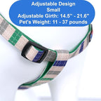 Pawtitas Multicolor Step-in Dog Harness – Adjustable No-Pull Vest for Puppies to Seniors, Safe & Comfortable S Grey/Blue/Green