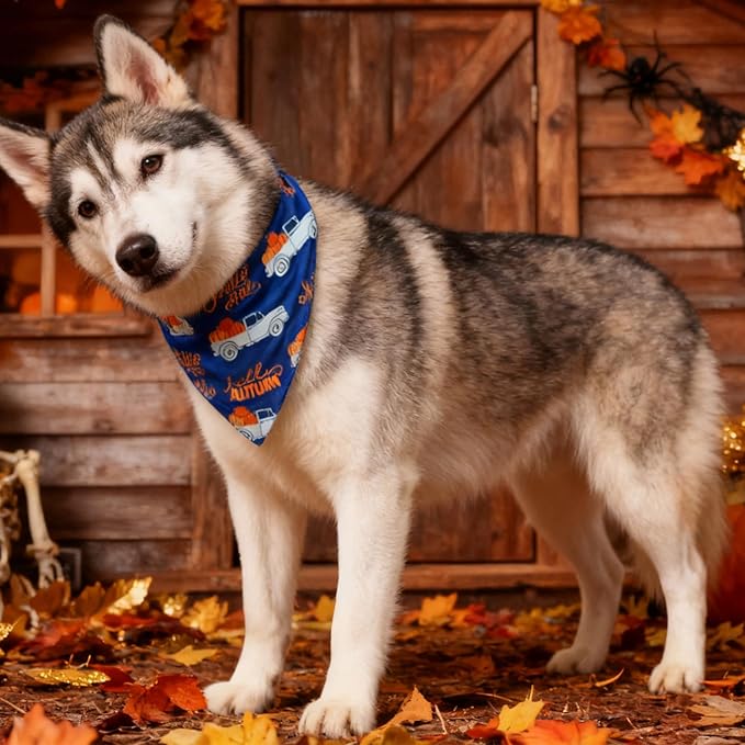 Fall Dog Bandana - Hello Fall Autumn and Pumpkin Truck - Printed Thanksgiving Holiday Pet Bandana Snap Button Triangle Scarf, Navy, Small and Medium Breed, 5-30lbs
