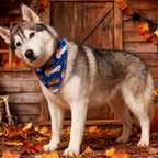 Fall Dog Bandana - Hello Fall Autumn and Pumpkin Truck - Printed Thanksgiving Holiday Pet Bandana Snap Button Triangle Scarf, Navy, Small and Medium Breed, 5-30lbs