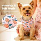BAEJMJK Dog Harness and Leash Set with Bow Knot No Pull Pet Floral Harness with D-Ring Soft Mesh Dog Harness Vest Set Escape Proof Princess Puppy Harness for Small Girl Dogs Cats（Orange XS）