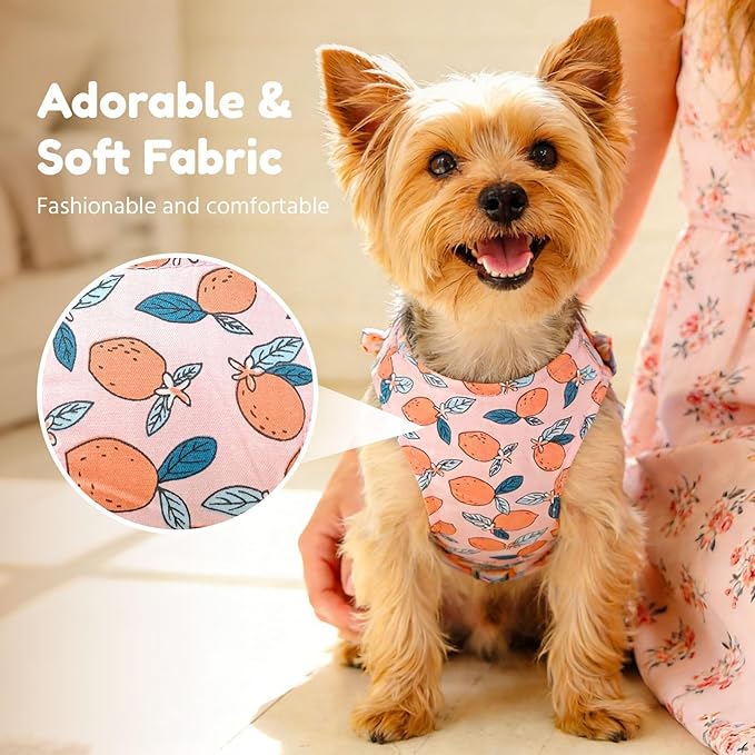 BAEJMJK Dog Harness and Leash Set with Bow Knot No Pull Pet Floral Harness with D-Ring Soft Mesh Dog Harness Vest Set Escape Proof Princess Puppy Harness for Small Girl Dogs Cats（Orange M）