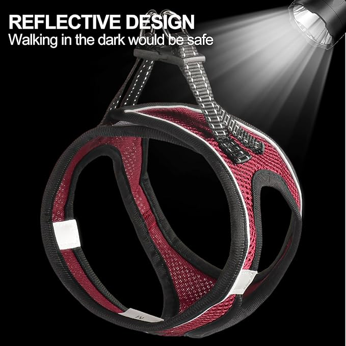 Dog Harness for Small Dogs and Leash Set, Honeycomb Grid, Reflective Lightweight Harness & Anti-Twist Pet Lead Multi Color, Size: XS-S-M. (XS, Deep Purple)