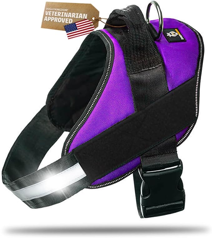 Dog Harness with Patch Panels, No Choke, Reflective, Adjustable, Soft Padded Dog Vest Harness with Easy Control Handle for Growing Puppy Size Dog, Purple, XS