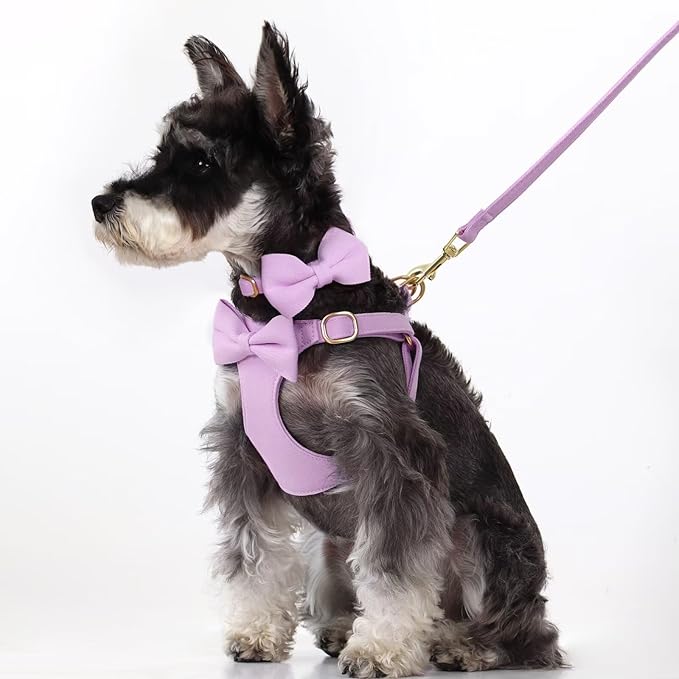 Beirui Adorable Small Dog Harness Collar Leash Set,Cute Puppy Harness with 3 Bows for XS Dogs,Yorkie,Adjustable Step-in Vest for Walking,Parties&Holiday Outfits(Purple,XS)