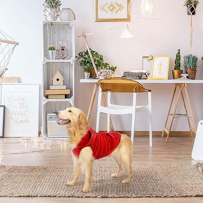 EXPAWLORER Dog Hoodie Fleece Sweater Vest, Hooded Dog Sweatshirt Fall Winter Pet Clothes with Leash Ring, Sleeveless Warm Cozy Puppy Clothing for Cat Small Medium Large Dogs Girl Boy, Red M