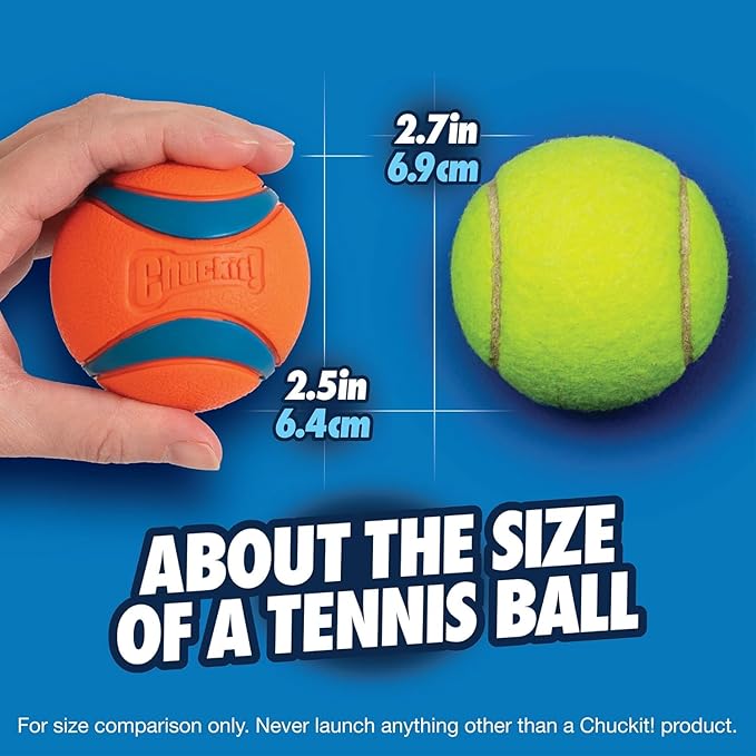 Chuckit! Ultra Ball Dog Toy - Medium Bouncy Fetch Balls for Dogs 20-60 lbs - Made from Durable Rubber - Floating Water Pet Toys - Size Medium - 2.5-inch Diameter (Pack of 4)