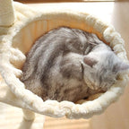 Cat Hammock Bed, 17inch Spoon-Shape Soft Plush Cat Tree Hammock, Plush Covered Cat Bed, Scratch-Proof Cat Tree Replacement Parts for Cats