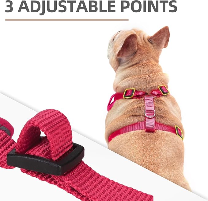 PUPTECK Small Dog Harness and Leash Set, No Pull Adjustable Puppy Cat Harness, Reflective Soft Mesh Pet Vest Small Sized, Fuchsia, S