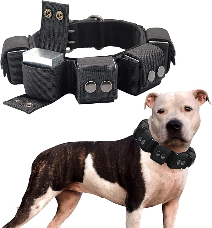 Tactical Weighted Dog Collar - Weights for Training & Exercise - Small, Medium, Large Dogs