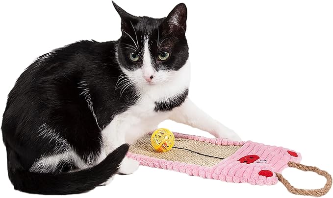 PET LIFE Eco-Natural Sisal & Jute Hanging Carpet Kitty Cat Scratcher Lounge with Toy