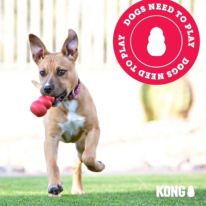 KONG - Puppy Toy Natural Teething Rubber - Fun to Chew, Chase and Fetch - for Medium Puppies - Pink (Pack of 2)