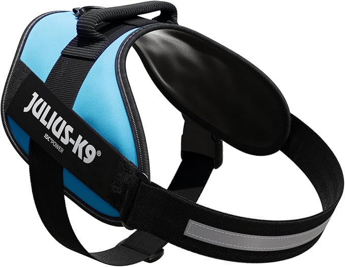 Julius-K9, 16IDC-AM-2, IDC Powerharness, Dog Harness, Size: 2, Aquamarine