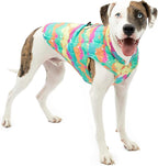 Kurgo Loft Dog Jacket - Reversible Cozy Coat for Outdoor Adventures - Water Resistant - Athletic Fit - Machine Washable Fabric - Reflective Dog Gear - X-Small - Watercolor Stripe
