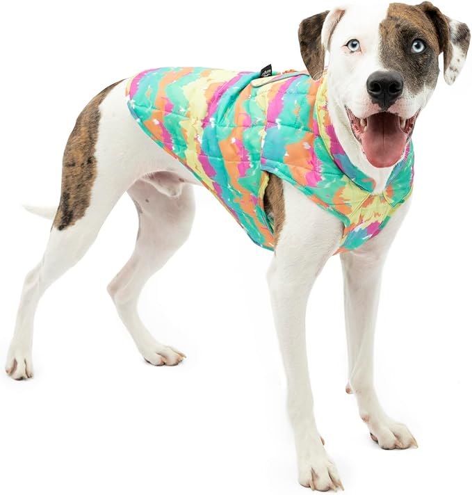 Kurgo Loft Dog Jacket - Reversible Cozy Coat for Outdoor Adventures - Water Resistant - Athletic Fit - Machine Washable Fabric - Reflective Dog Gear - X- Large - Watercolor Stripe