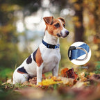 Martingale Dog Collar with Quick Release Buckle Steel Chain No Pull Training Reflective Collar for Medium Large Dogs(Blue, Medium)