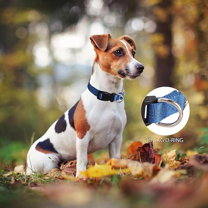 Martingale Dog Collar with Quick Release Buckle Steel Chain No Pull Training Reflective Collar for Medium Large Dogs(Blue, Large)