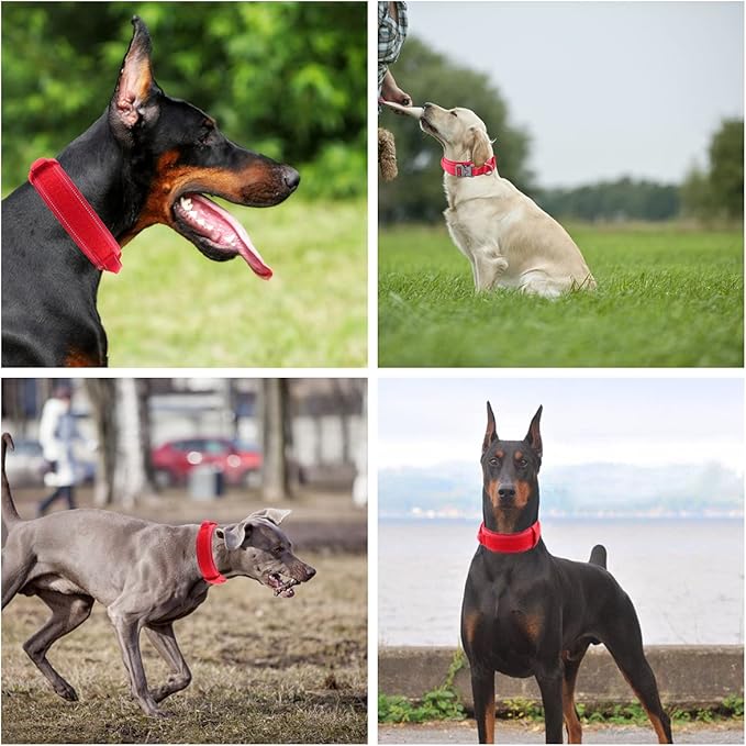 Tactical Dog Collar with Heavy Duty Metal Buckle and Control Handle for Medium Large Dogs Training(Red, X-Large)